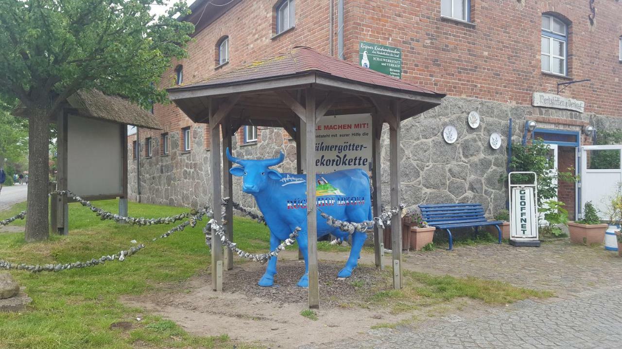 Ferienwohnung Finja In Putgarten, Kap Arkona Ruegen Exteriér fotografie