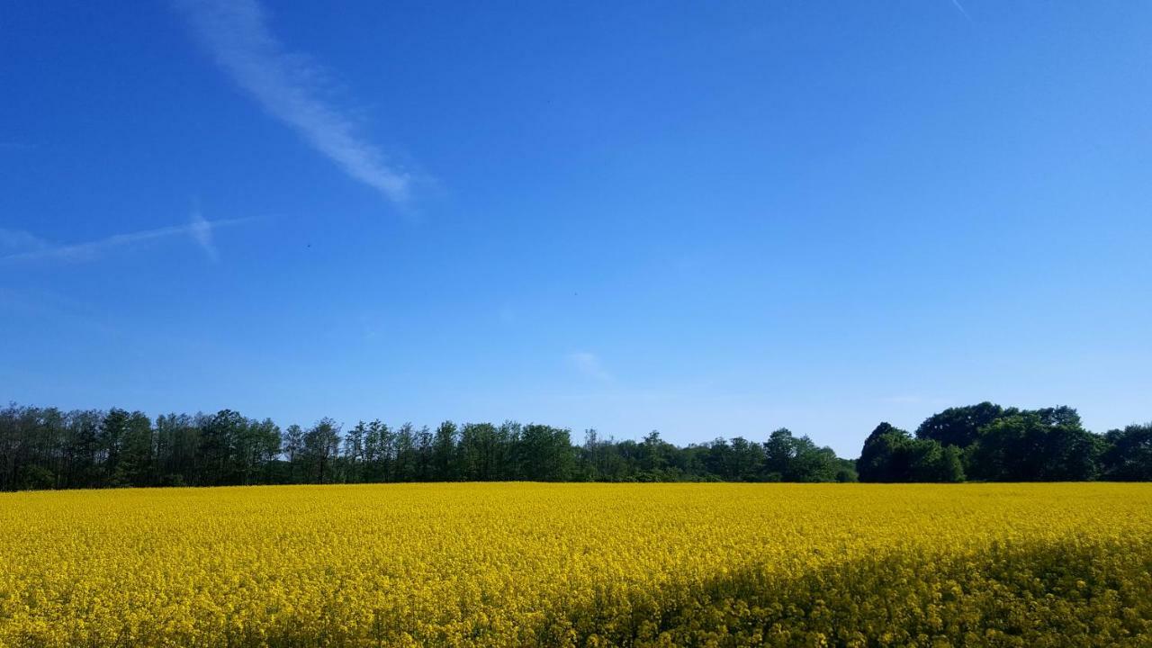 Ferienwohnung Finja In Putgarten, Kap Arkona Ruegen Exteriér fotografie