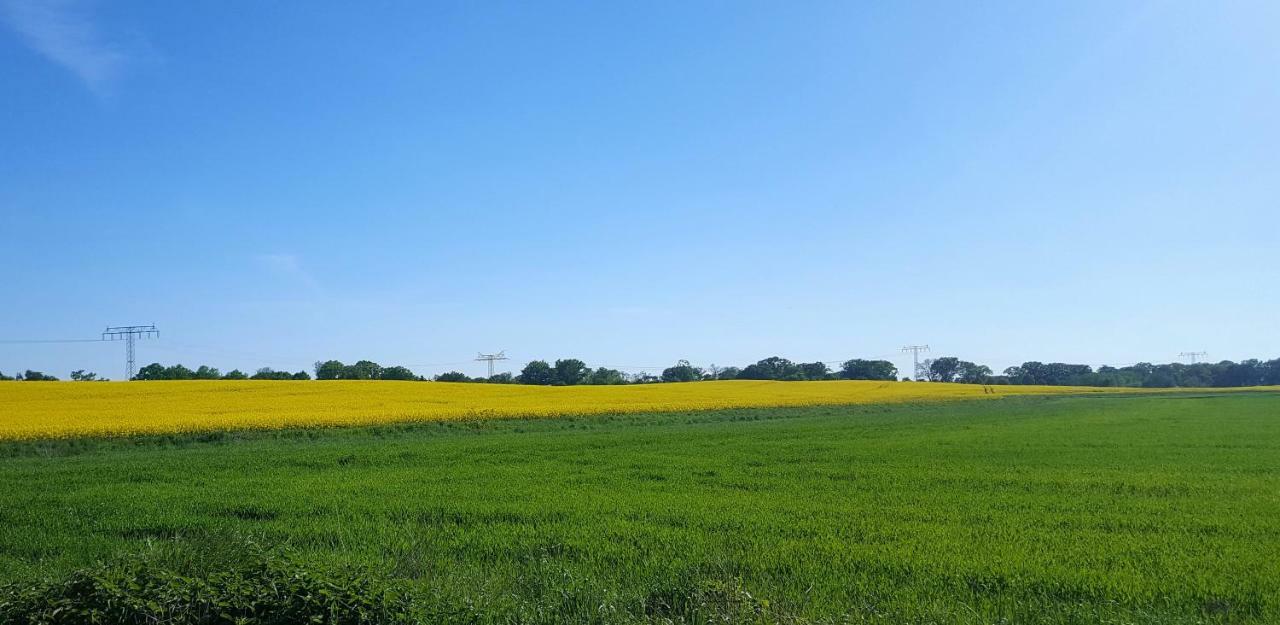 Ferienwohnung Finja In Putgarten, Kap Arkona Ruegen Exteriér fotografie